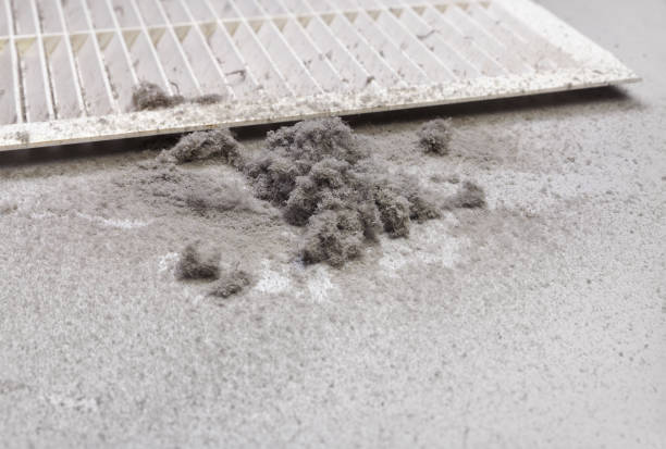 Best Home Air Vent Cleaning  in Coal Fork, WV
